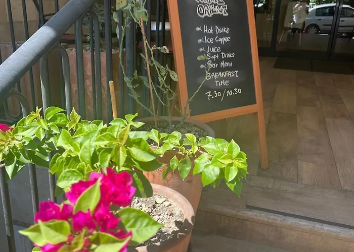 ذا وايت أورينت فندق 4*