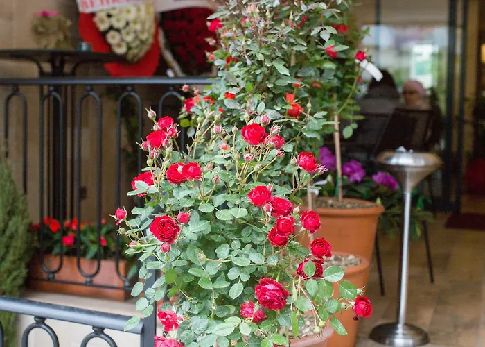 The White Orient ホテル