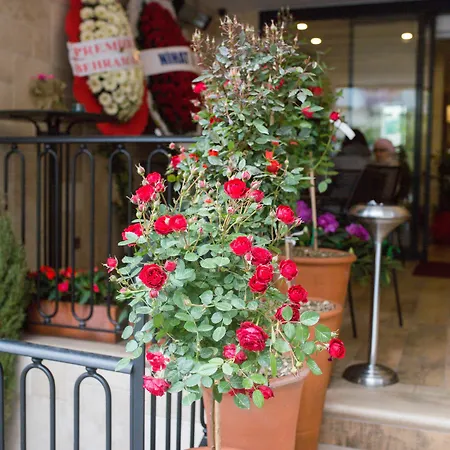 The White Orient Ξενοδοχείο